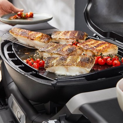 Weber Q Full Size Cast-Iron Griddle (3)